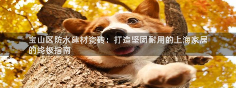 杏鑫官方平台怎么样可靠吗