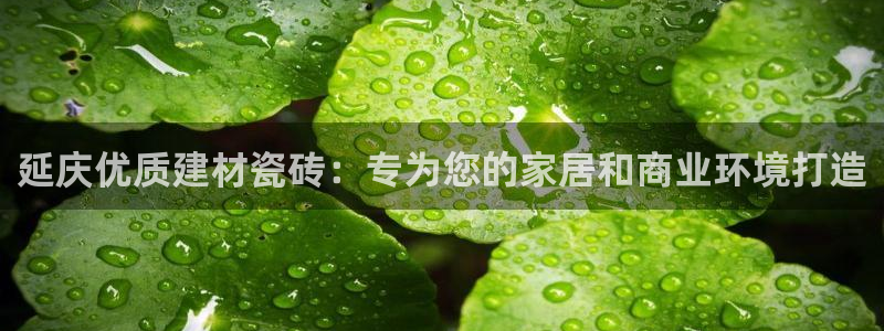 杏鑫娱乐怎么下