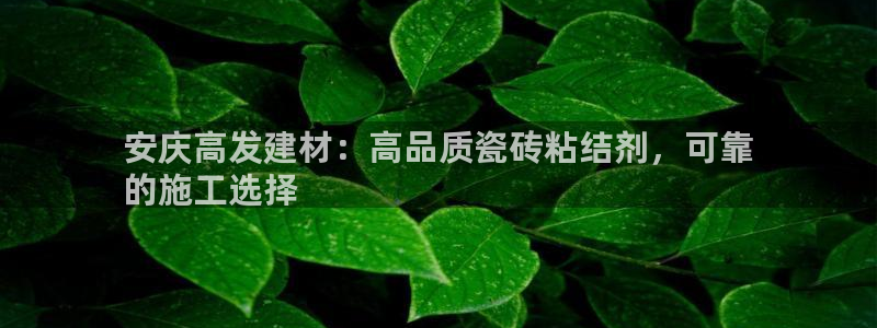 杏鑫平台代理注册流程