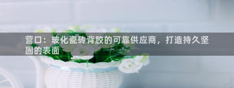 杏鑫娱乐负责人