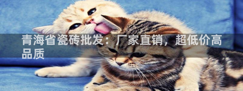 杏鑫娱乐是真的吗知乎