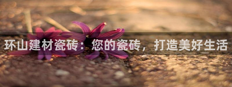 杏鑫平台代理怎么做的