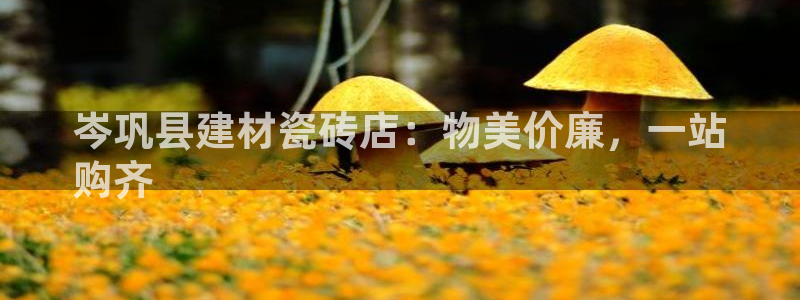 杏鑫官网注册账号怎么注册不了