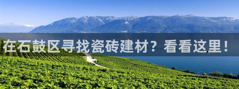 杏鑫官网注册账号密码是什么