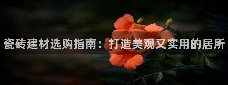 杏鑫娱乐是合法的吗是真的吗