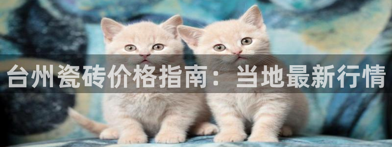 杏鑫平台招商怎么样