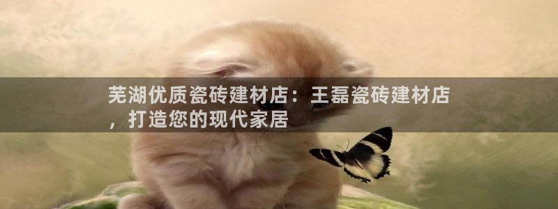 杏鑫娱乐开发团队