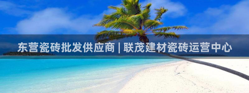 杏鑫平台代理怎么做