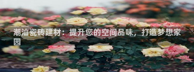 杏鑫平台注册地址在哪里