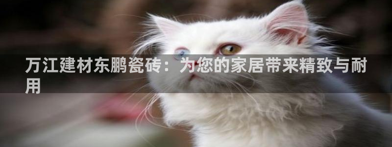 杏鑫娱乐平台测速