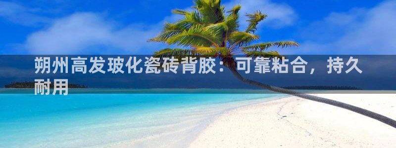 杏鑫平台代理注册流程