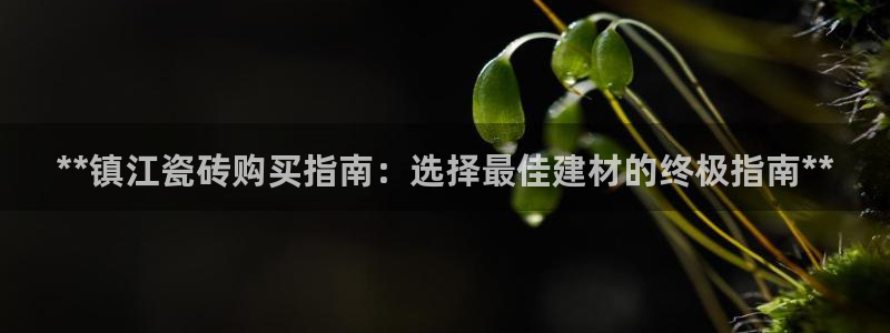 杏鑫官方平台怎么样可靠吗