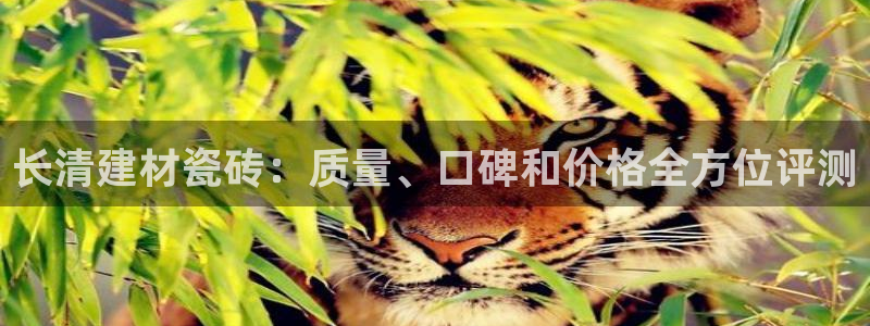 杏鑫平台广7O777