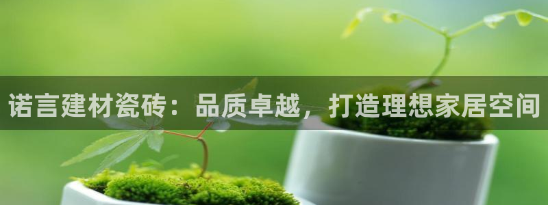 杏鑫娱乐开发团队