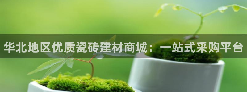 杏鑫平台登录地址查询