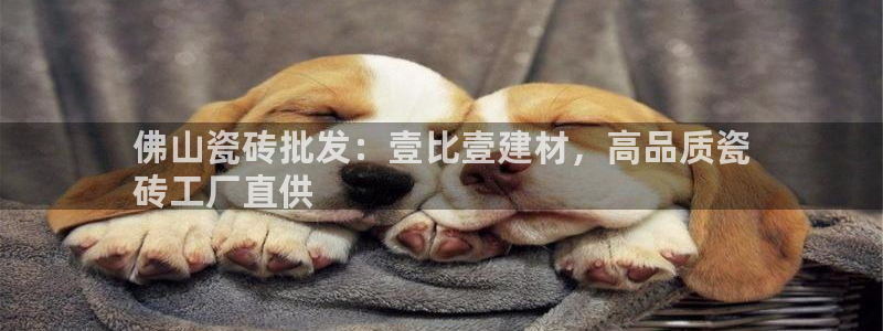 杏鑫官网注册账号是什么