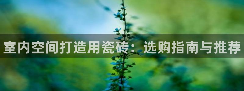 杏鑫平台招商