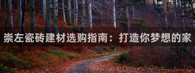 杏鑫平台注册网址查询