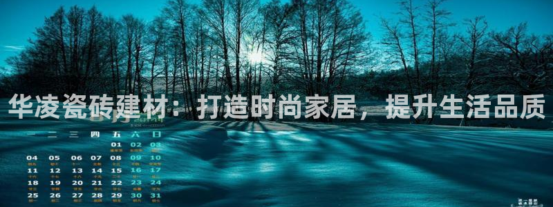 杏鑫平台注册地址在哪里