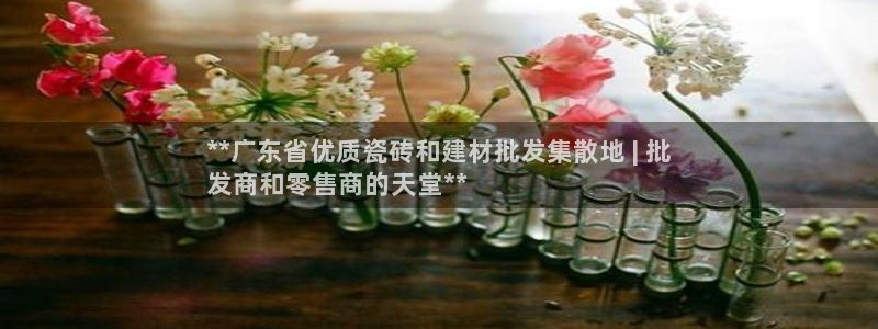 杏鑫平台代理怎么做的