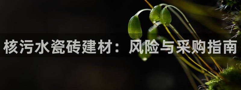 杏鑫平台代理怎么做的