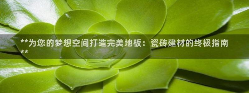 杏鑫平台招商电话号码
