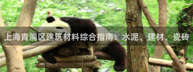 杏鑫平台招商