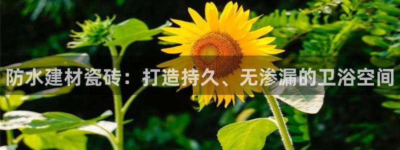 杏鑫平台平台