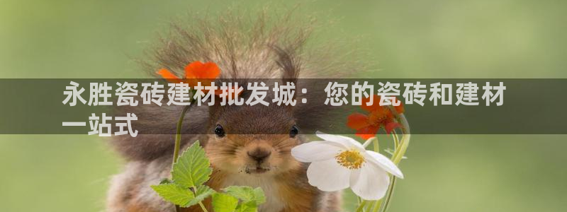 杏鑫平台在线注册流程