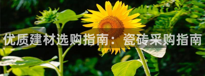 杏鑫平台是黑平台吗知乎