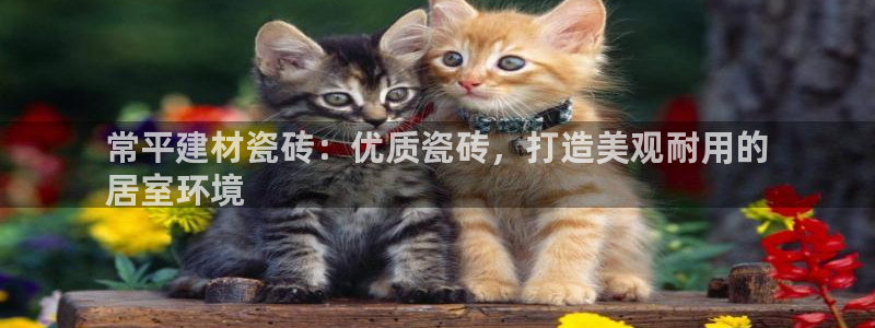 杏鑫平台怎么样黑钱吗知乎推荐
