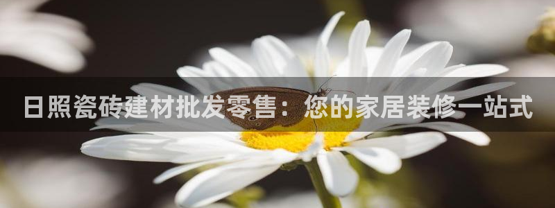 杏鑫平台登陆