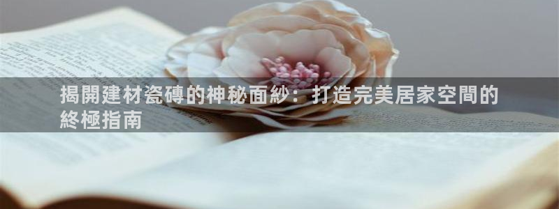 杏鑫平台代理注册多少钱一年