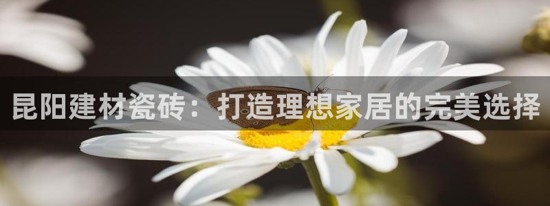 杏鑫平台代理怎么做