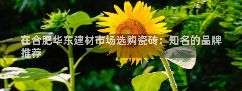 杏鑫平台正规吗是真的吗