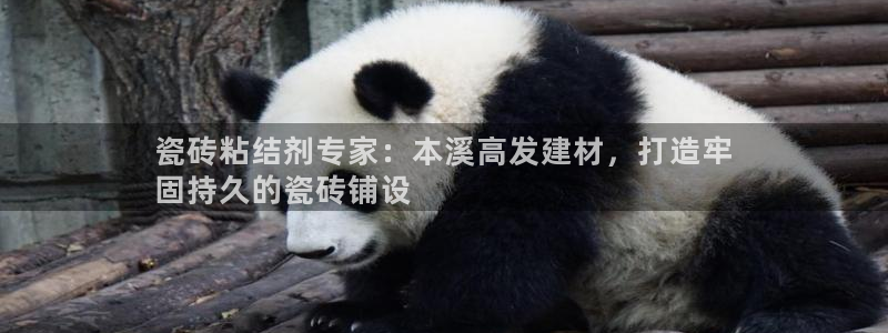 杏鑫平台念7O777