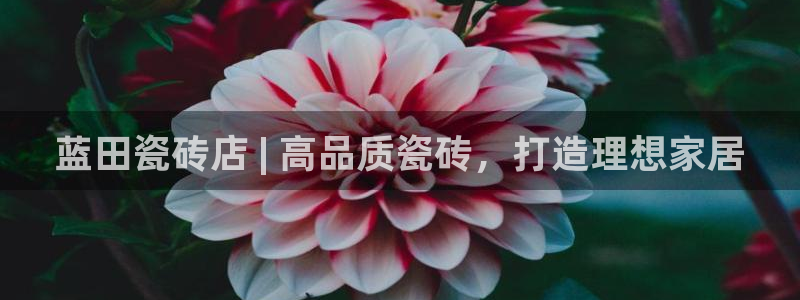 杏鑫平台登录地址在哪