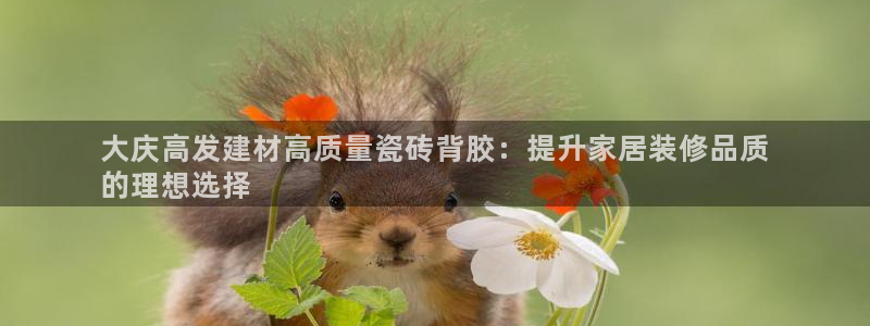 杏鑫官方平台怎么样啊