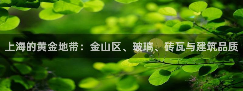 杏鑫官方平台怎么样啊安全吗