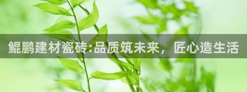 杏鑫平台代理怎么样啊