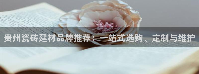 杏鑫注册平台官方网站是什么