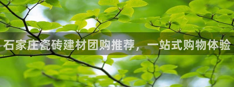 杏鑫平台登录地址查询