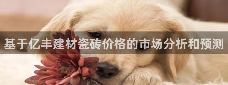 杏鑫平台代理怎么样啊
