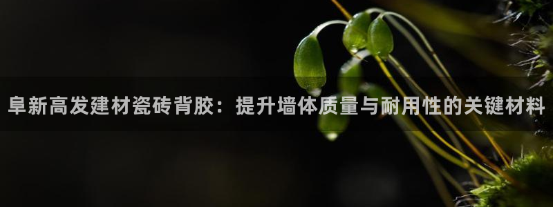 杏鑫平台是黑平台吗