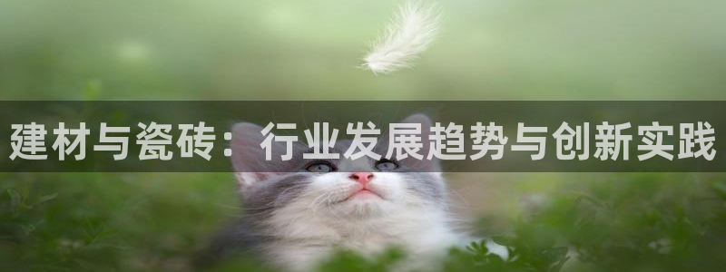 杏鑫平台登陆