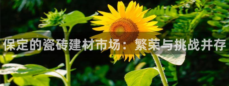 杏鑫平台怎么样黑钱吗是真的吗吗