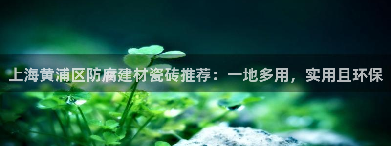 杏鑫平台代理注册多少钱啊