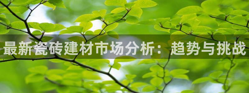 杏鑫平台官方网站