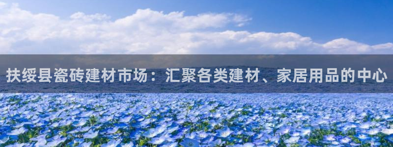 杏鑫平台代理注册流程图