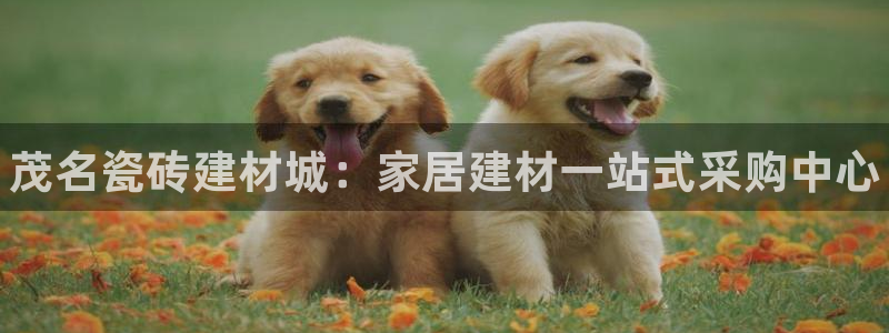 杏鑫娱乐是合法的吗是真的吗